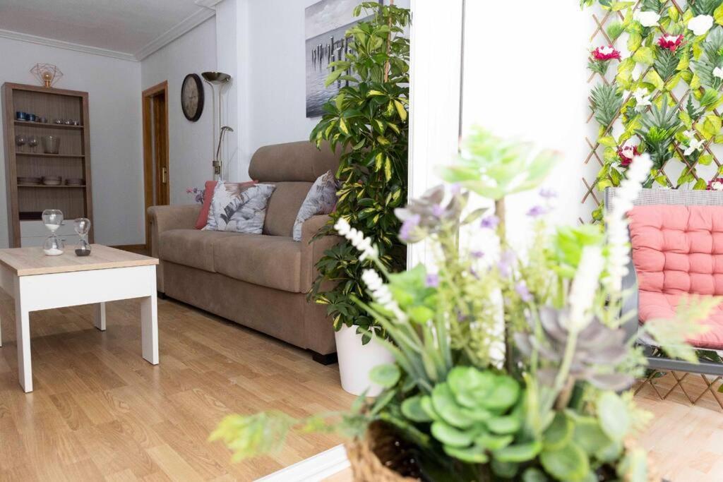 Apartamento Rio アリカンテ エクステリア 写真